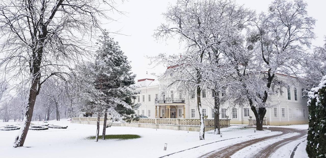 Art Hotel Kastiel Tomášov Dış mekan fotoğraf